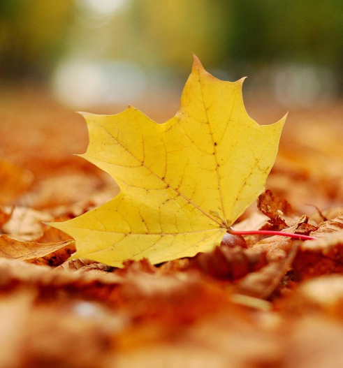 公司參加禮享金秋，慶搜狗合作阿里活動獲獎細節(jié)